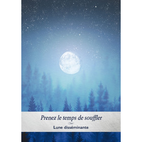 TAROT HEAVEN ET EARTH