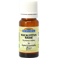 HE Bio - Eucalyptus radié - 10ml