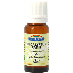HE Bio - Eucalyptus radié - 10ml