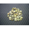 CALCITE VERTE