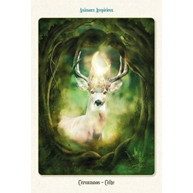 tourmaline facette 8mm