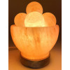 Lampe de Sel Himalaya Bol & Boules 3.5KG