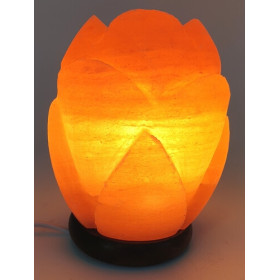 Lampe de Sel Himalaya Tulipe 3KG
