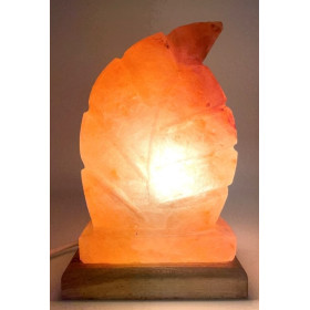 Lampe de Sel Himalaya Feuille 3.5KG