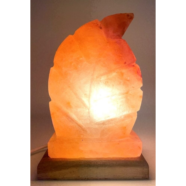 Lampe de Sel Himalaya Feuille 3.5KG