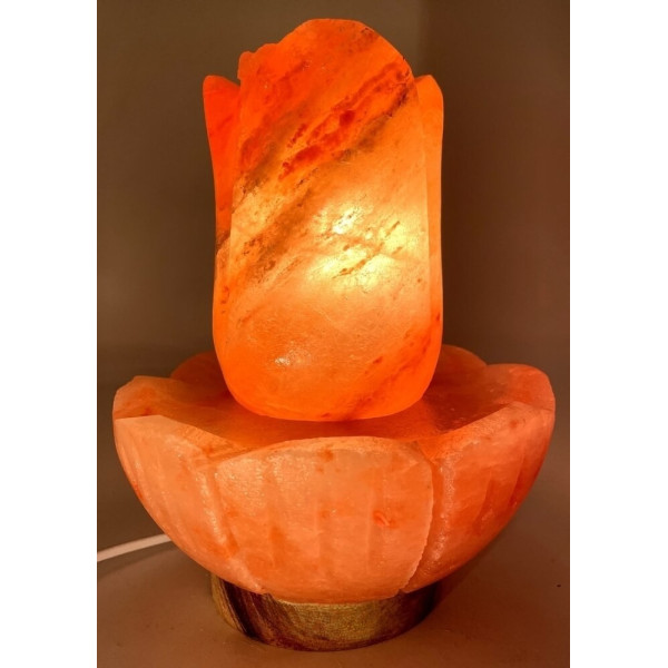 Lampe de Sel Lotus 5.5KG