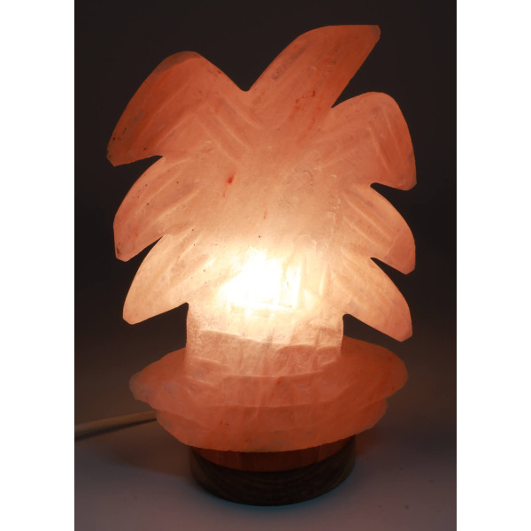 Lampe de Sel Himalaya Palmier 4KG
