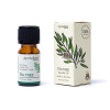Aromafume huile essentielle Tea Tree -- 10ml