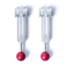 Diapason Soul Purpose (272,20 Hz) -- 23x10,5 cm