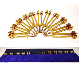 Diapasons pondérés Cosmic Octave set 11 pièces couleur or  -- 36 cm