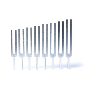 Jeu de diapasons Spectre Harmonique -- 42x21 cm