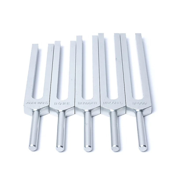 Jeu de diapasons Organes Humains -- 69x29 cm