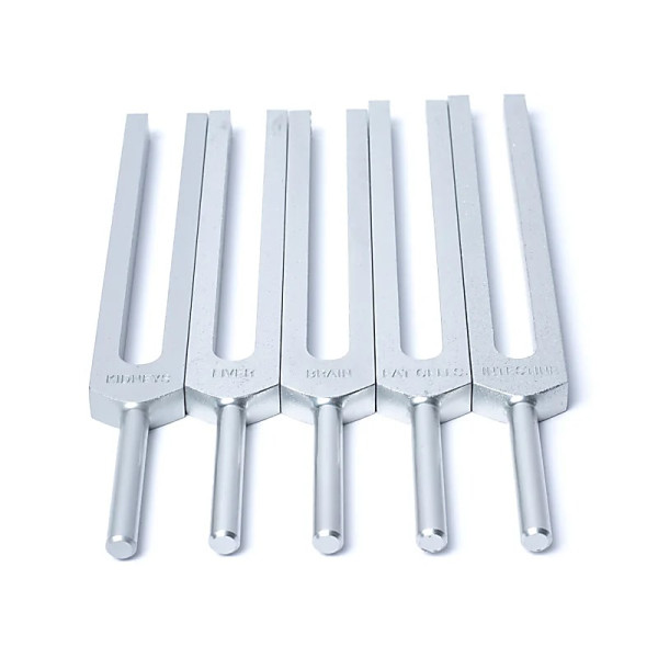 Jeu de diapasons Organes Humains -- 69x29 cm