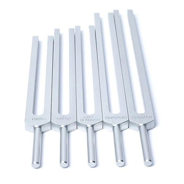 Jeu de diapasons Organes Humains -- 69x29 cm