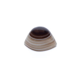 Oeil de Shiva Pierre de protection en agate naturelle -- ± 2 cm