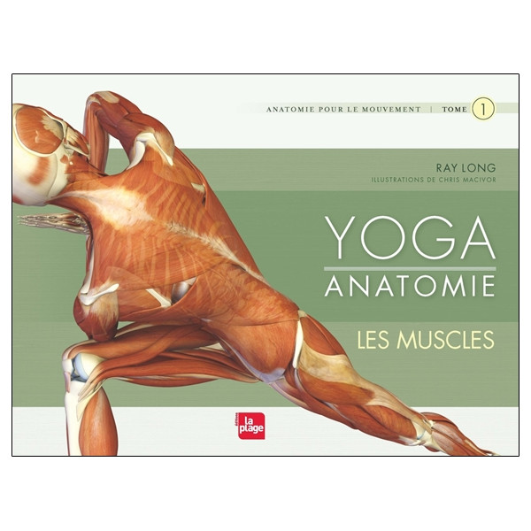 Yoga anatomie - Les muscles T1