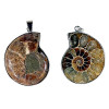 Pendentif Ammonite -- 3.5 cm
