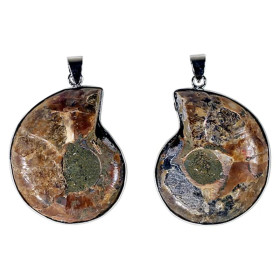 Pendentif Ammonite -- 3.5 cm