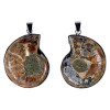 Pendentif Ammonite -- 3.5 cm