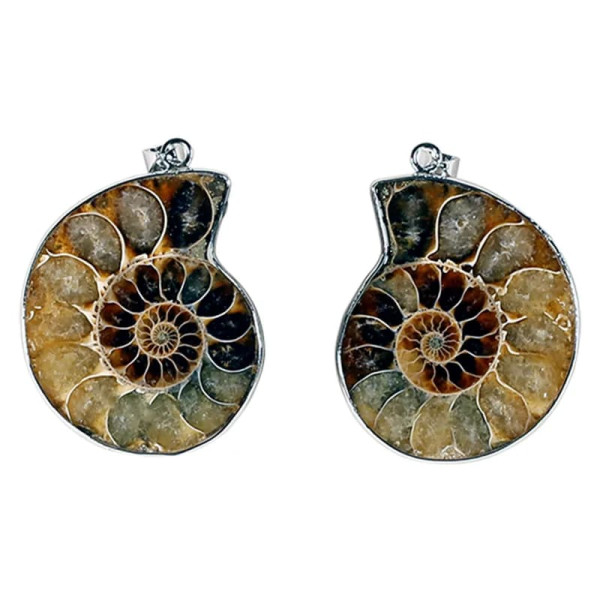 Pendentif Ammonite -- 3.5 cm