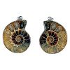 Pendentif Ammonite -- 3.5 cm