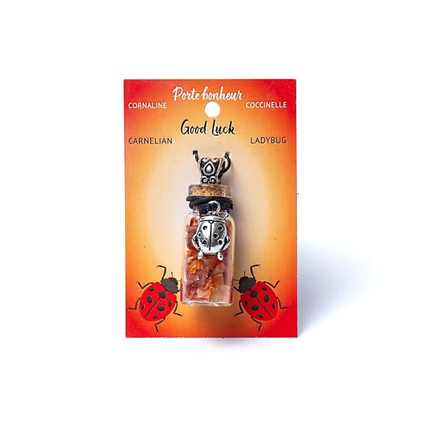 Fiole cadeau en verre sur corde cornaline et coccinelle -- 3,6 cm