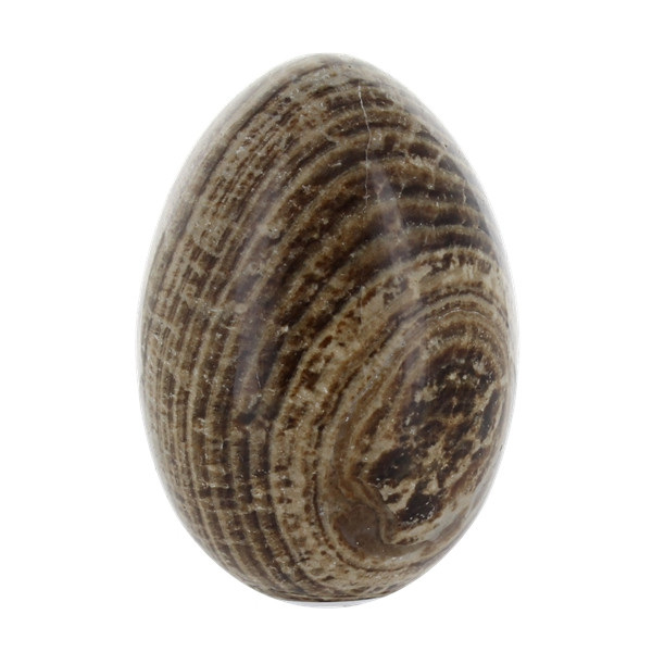 Oeuf Aragonite - Pièce de 7 à 9 cm