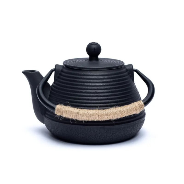 Théière émaillée Tetsukyusu 1,0 litre noir