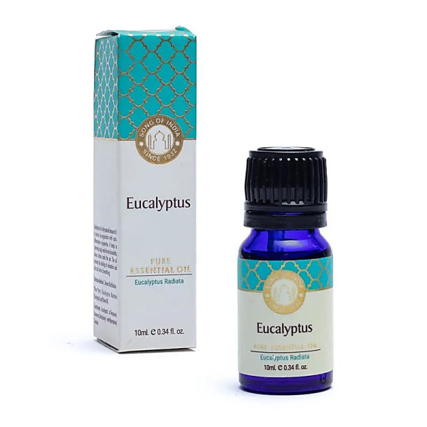 Huile essentielle d'Eucalyptus Song of India  -- 10 ml
