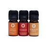 Set d'huiles essentielles d'aromathérapie Citrus Blast -- 3x5 ml