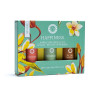 Set d'Huiles Essentielles Aromathérapie Happiness -- 3x5 ml