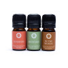 Set d'Huiles Essentielles Aromathérapie Happiness -- 3x5 ml