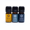 Set d'Huiles Essentielles Aromathérapie Wellness -- 3x5 ml