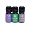Set d'Huiles Essentielles Aromathérapie Breathe -- 3x5 ml