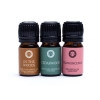 Set d'Huiles Essentielles Aromathérapie Woodsy -- 3x5 ml