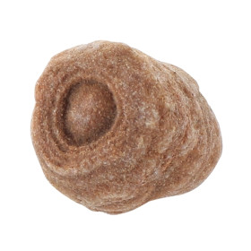 Oeil des Sables - PM - Pièce ＜ 80 Gr