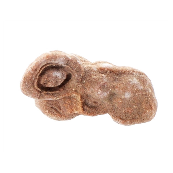 Oeil des Sables - GM - Pièce ＞ 80 Gr