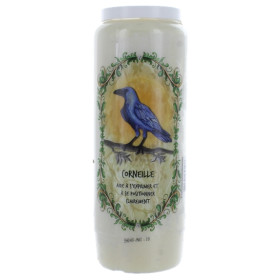 Neuvaine animal totem : Corneille
