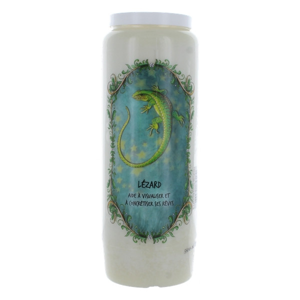 Neuvaine animal totem : Lézard