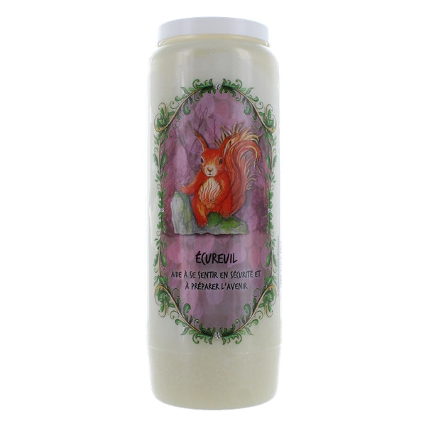 Neuvaine animal totem : Ecureuil