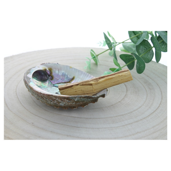 Palo Santo Green Tree Bâtonnets Sachet de 50 grs