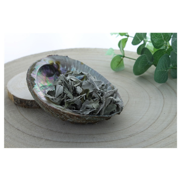 Sauge Blanche Green Tree Feuilles Sachet de 50 g