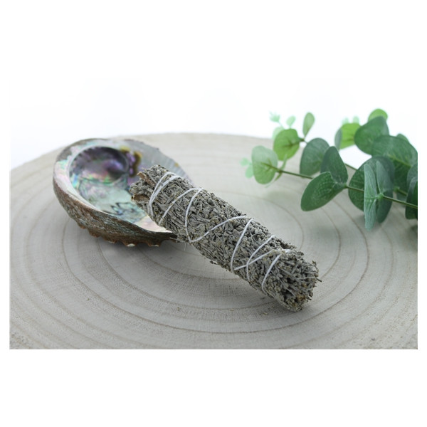 Sauge Bleue Shasta Green Tree Bâton purificateur