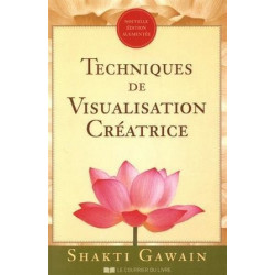 Techniques de visualisation créatrice - Grand Format