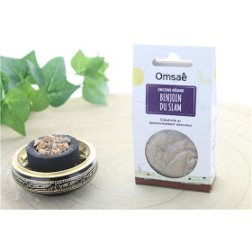 Encens résine en grains Benjoin du Siam 50 g
