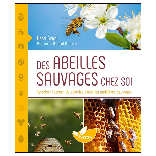 Des abeilles sauvages chez soi - Favoriser l'accueil de colonies d'abeilles mellifères sauvages