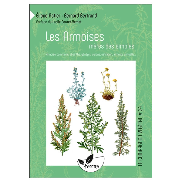 Les Armoises, mères des simples - Armoise commune, absinthe, génépis, aurone, estragon, armoise annuelle... Numéro 24