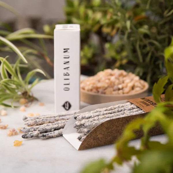 Sagrada Madre Encens aux herbes Oliban Blanc -- ±44g