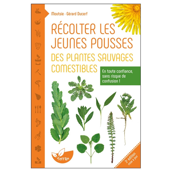 Récolter les jeunes pousses des plantes sauvages comestibles - En toute confiance, sans risque de confusion !