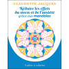 Réduire les effets du stress et de l'anxiété grâce aux mandalas - Cahier à colorier